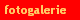 fotogalerie