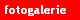 fotogalerie